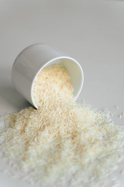 Thermomix Essentials for Cooking on a Budget